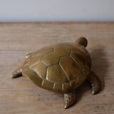 Empty brass turtle pocket