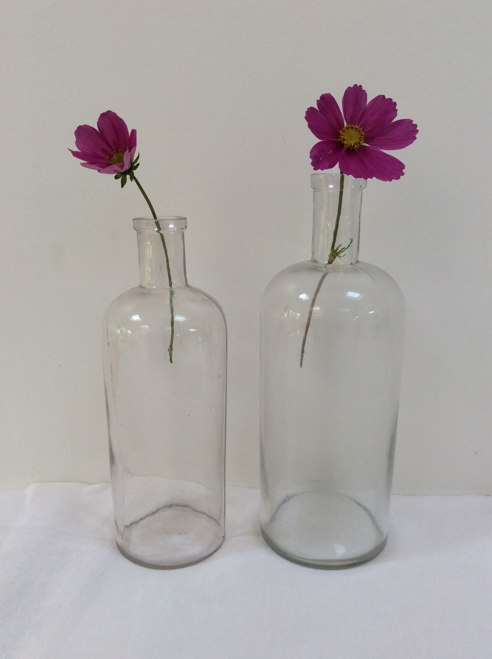 Pair of former pharmaceutical glass bottles