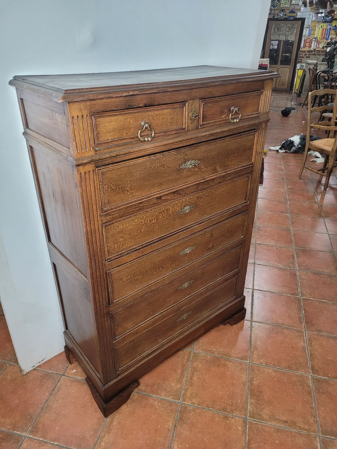 Louis Philippe elm ragpicker