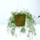 Cache pot en rotin
