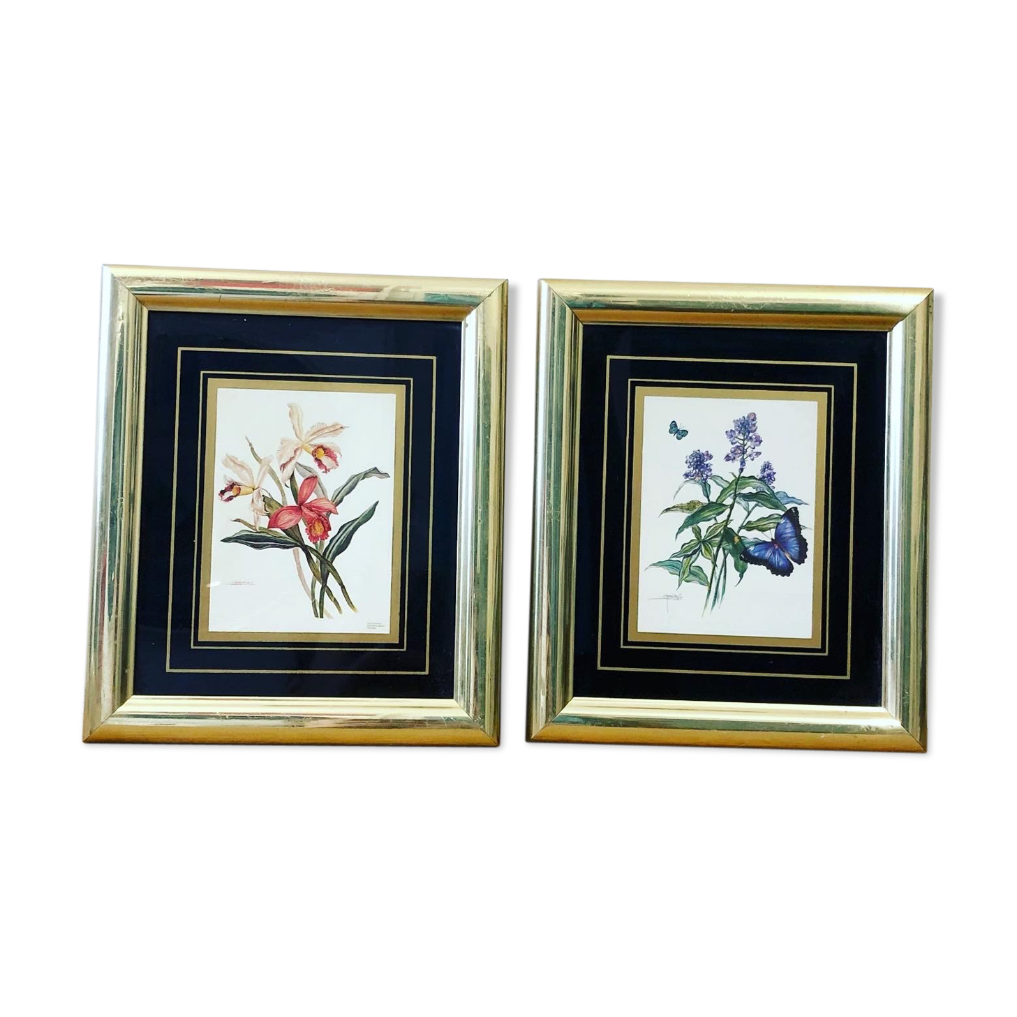 Lot de 2 herbiers dorés