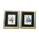 Lot de 2 herbiers dorés