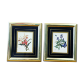 Lot de 2 herbiers dorés