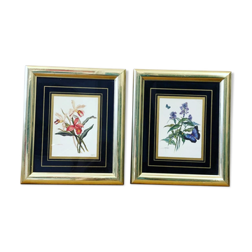 Set of 2 golden herbariums
