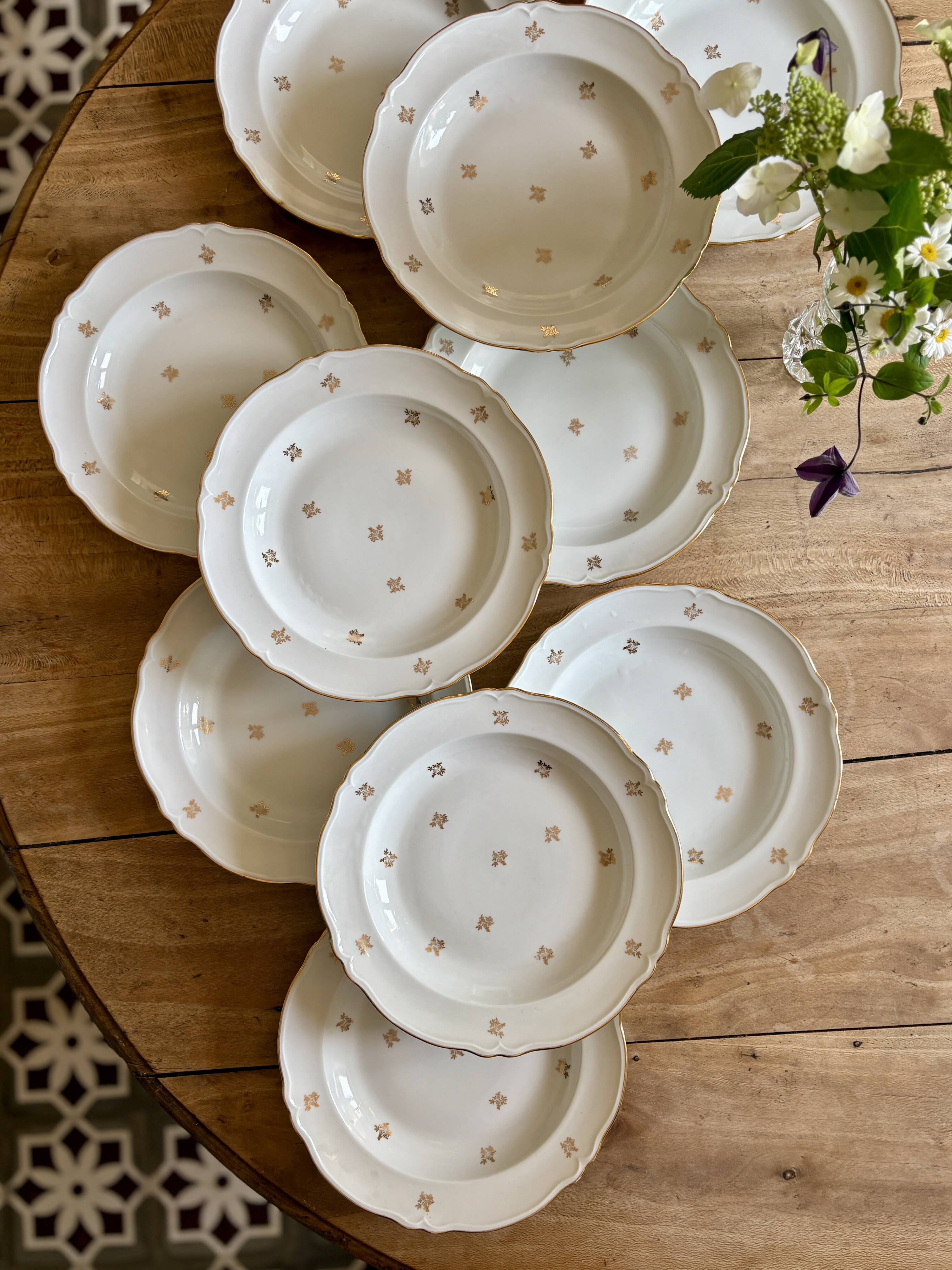 Set of 10 vintage Limoges porcelain soup plates