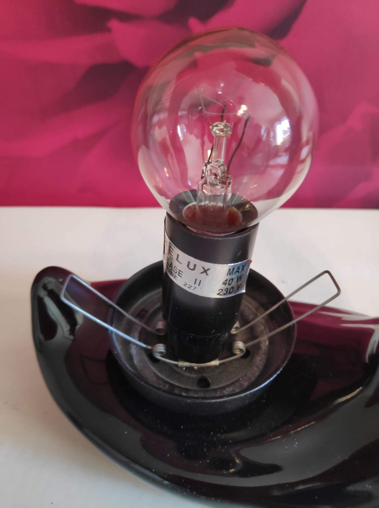 Black ceramic palm lamp and white opaline globe