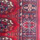 Carpet designs bukhara in wool 70x144 cm