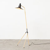 Rare Dutch Floor Lamp 1950s