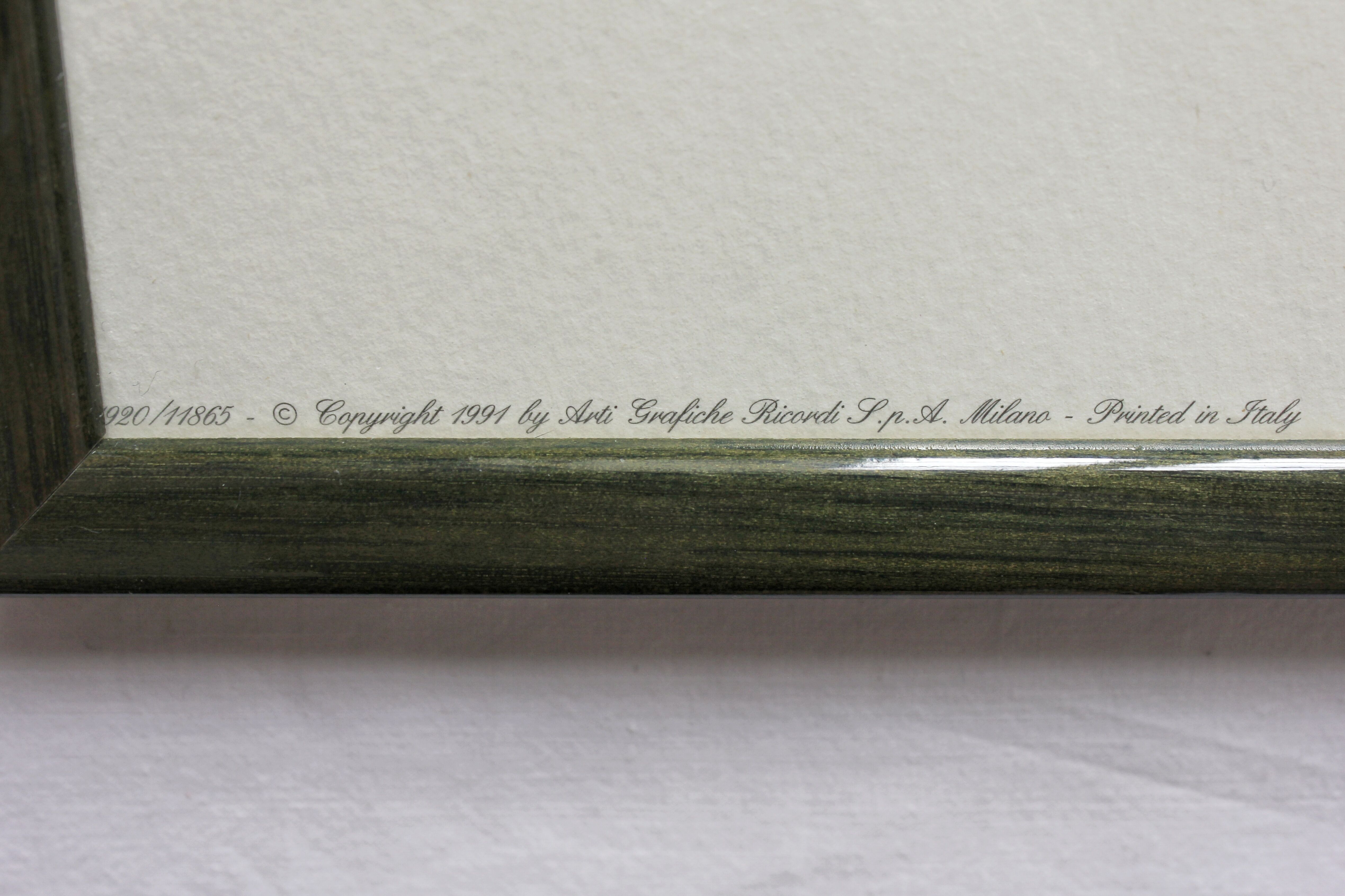 2 framed bird lithographs, vintage watercolor posters