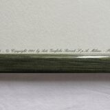 2 framed bird lithographs, vintage watercolor posters