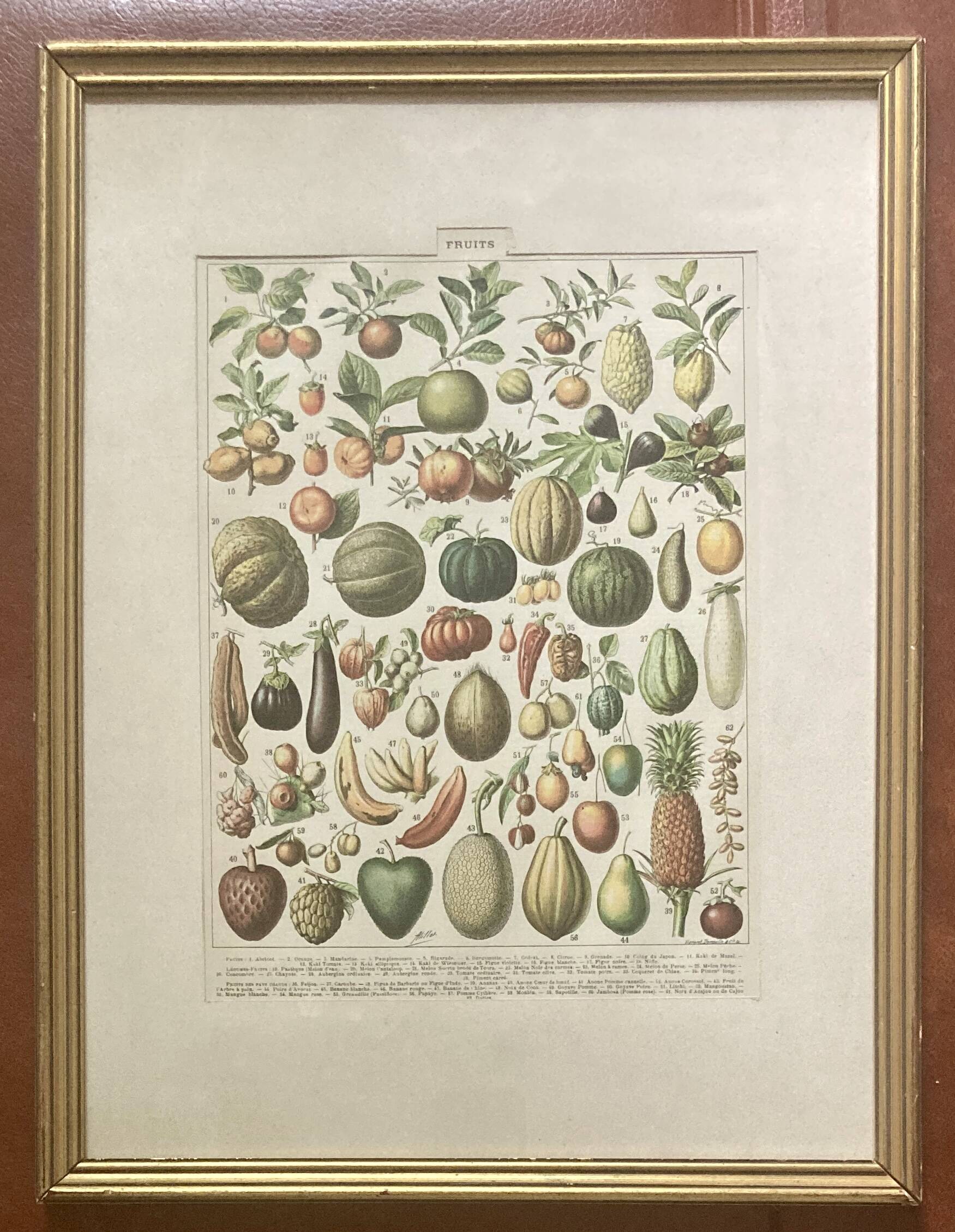 Golden frame - the Fruits - kitchen decor