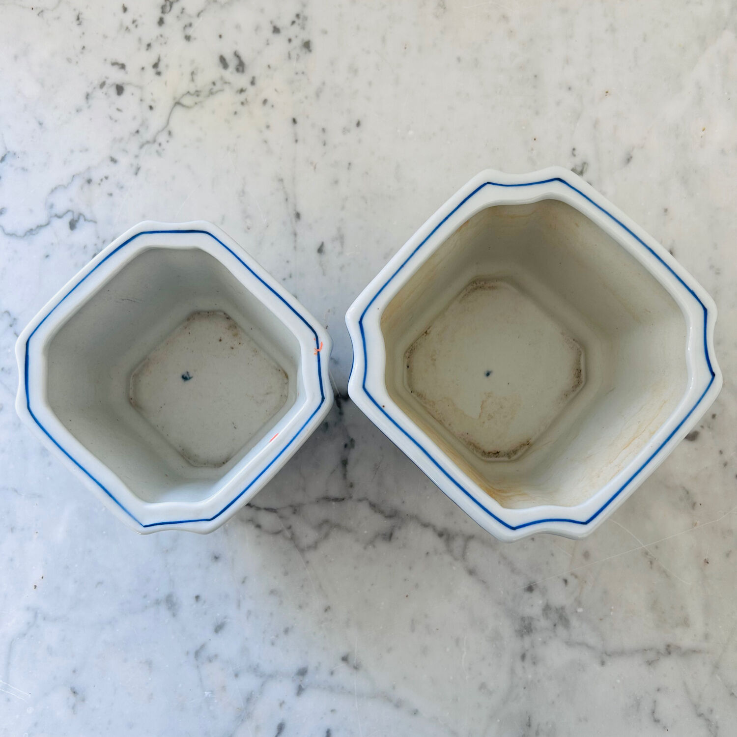 Duo of decorative plant pots with blue irises.