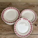 12 Céranord St.Amand dinner plates