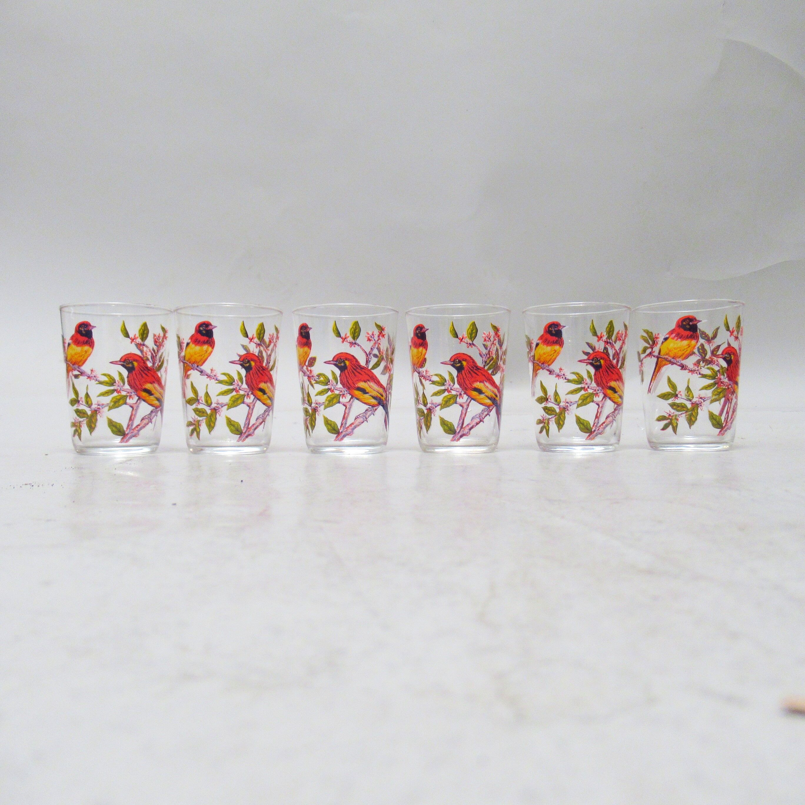 Set of six cups birds 50s
