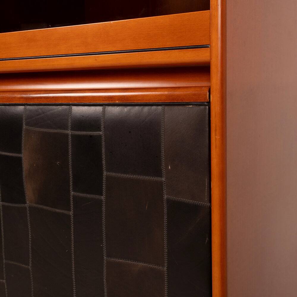 Pecary cabinet by Tito Agnoli for Caleido Frau 1970