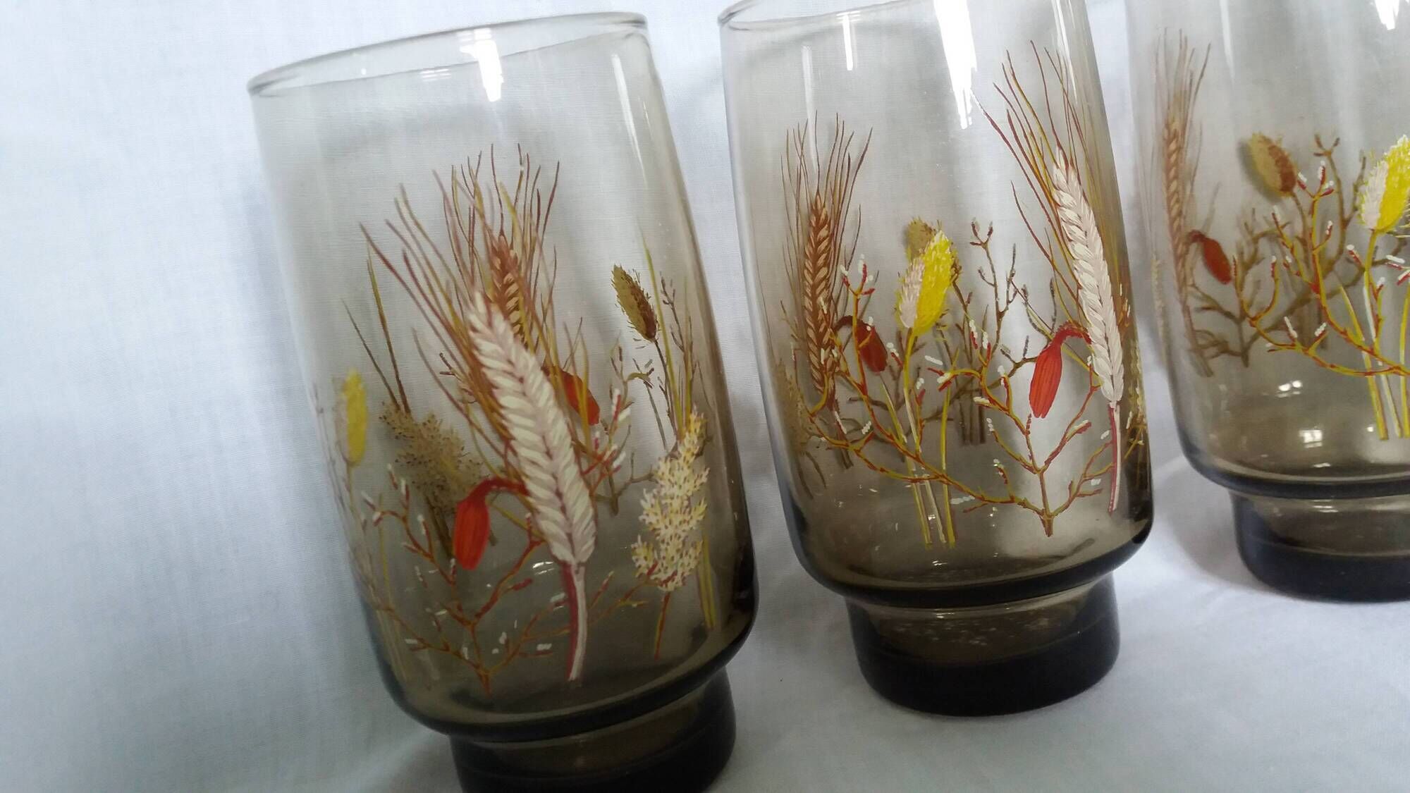 Verres Luminarc Tivoli set of 8, large amber glasses with a grass motif.