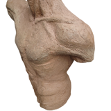 Bust of a man in antique terracotta Sigrid H Eriks 20th century