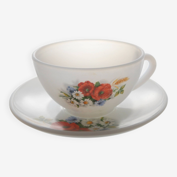 Coffee cup with saucer Arcopal vintage Coqueliquot collection