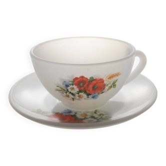 Coffee cup with saucer Arcopal vintage Coqueliquot collection