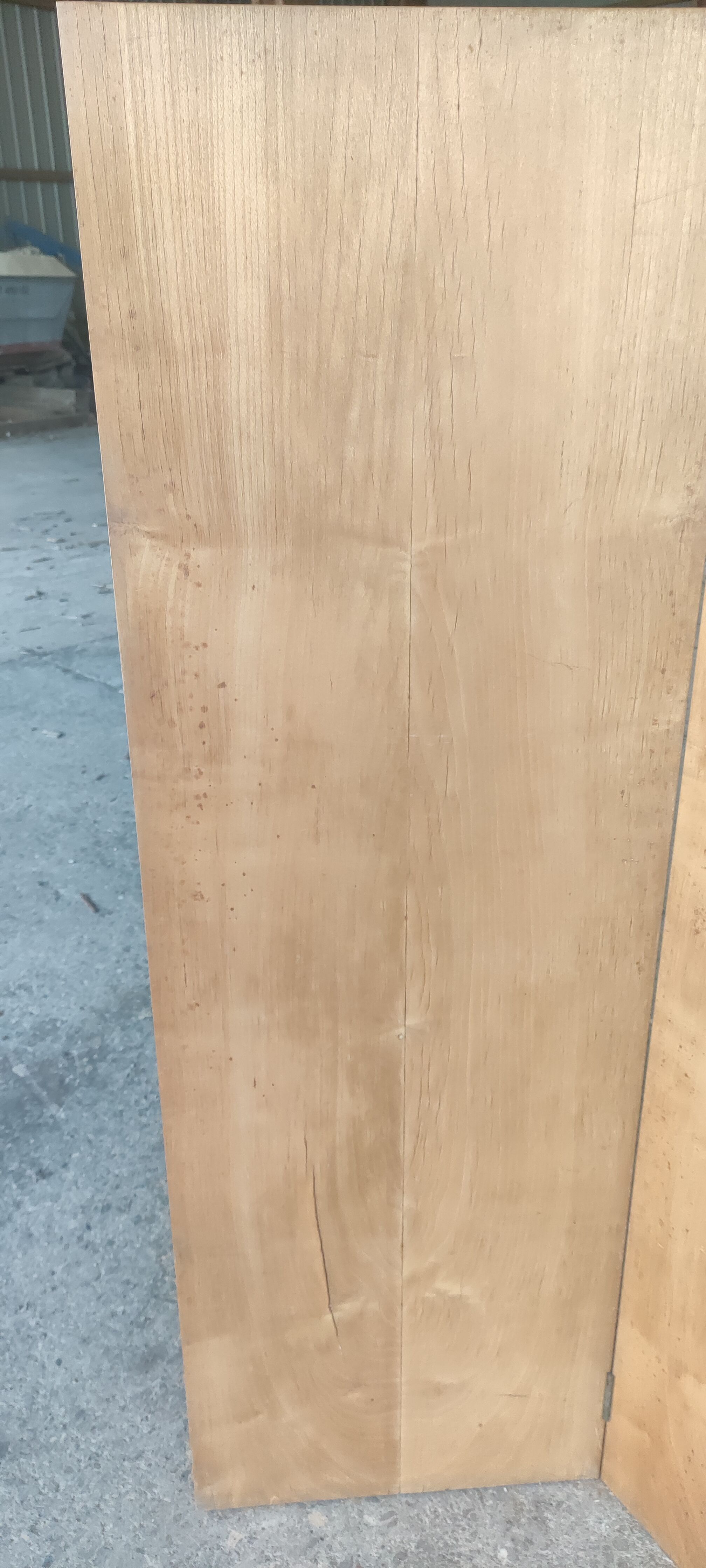 Screen 4 ventaux in elm veneer year 40-50