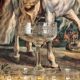 Engraved crystal champagne coupes