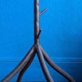 Tree coat rack