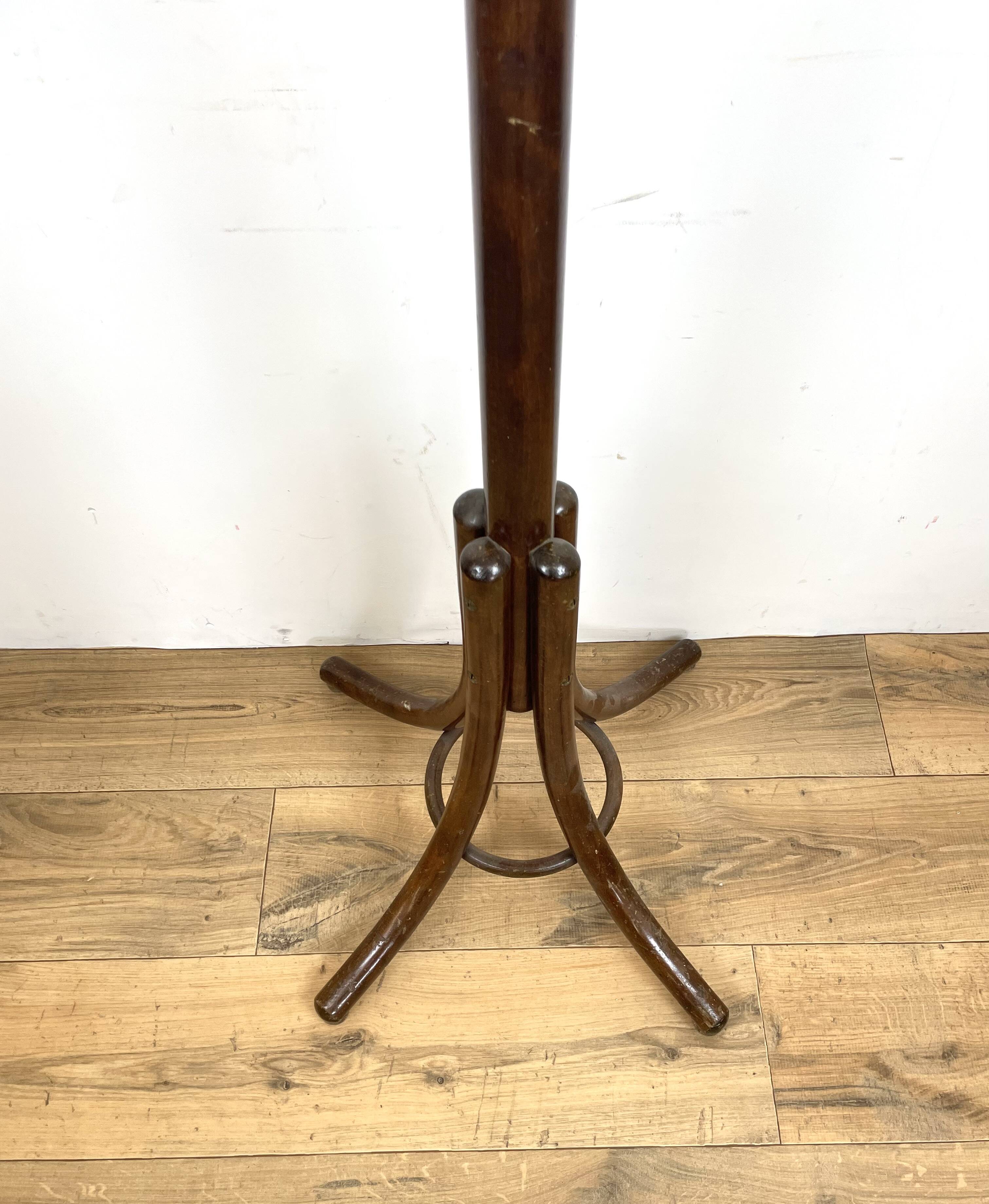 Parrot Coat Rack in Curved Wood-526001