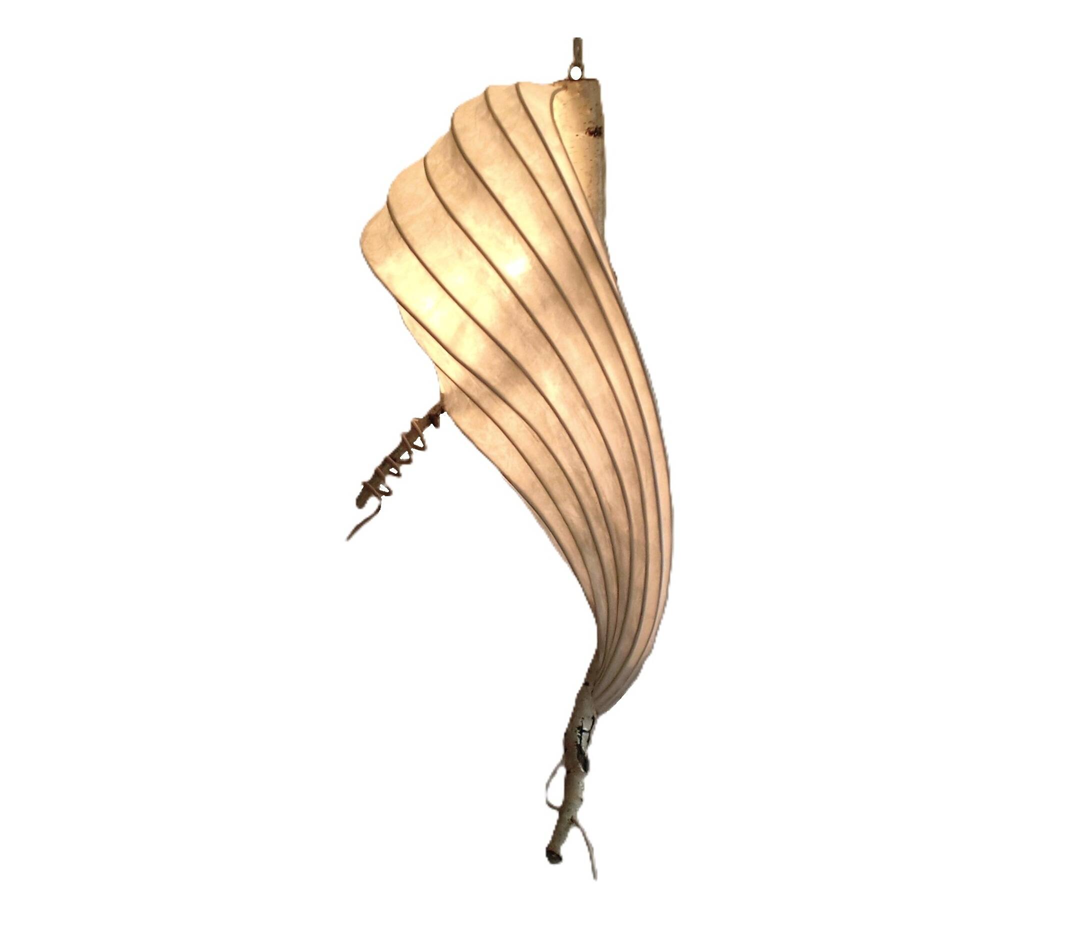 Organic Light Sculpture Wall Hanging Lamp, Birch Branch +Paper