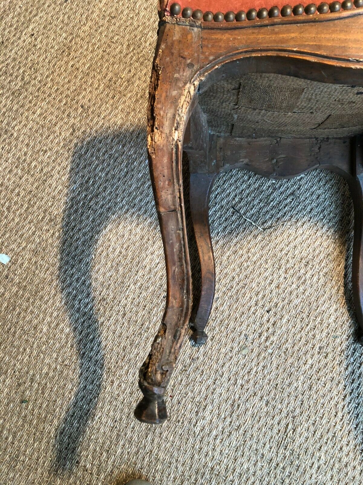 Musician chair period Louis XV