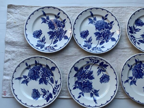 6 assiettes plates anglaises Staffordshire Victoria