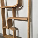 Room Divider by Ludvik Volak for Drevopodnik Holesov, 1950s