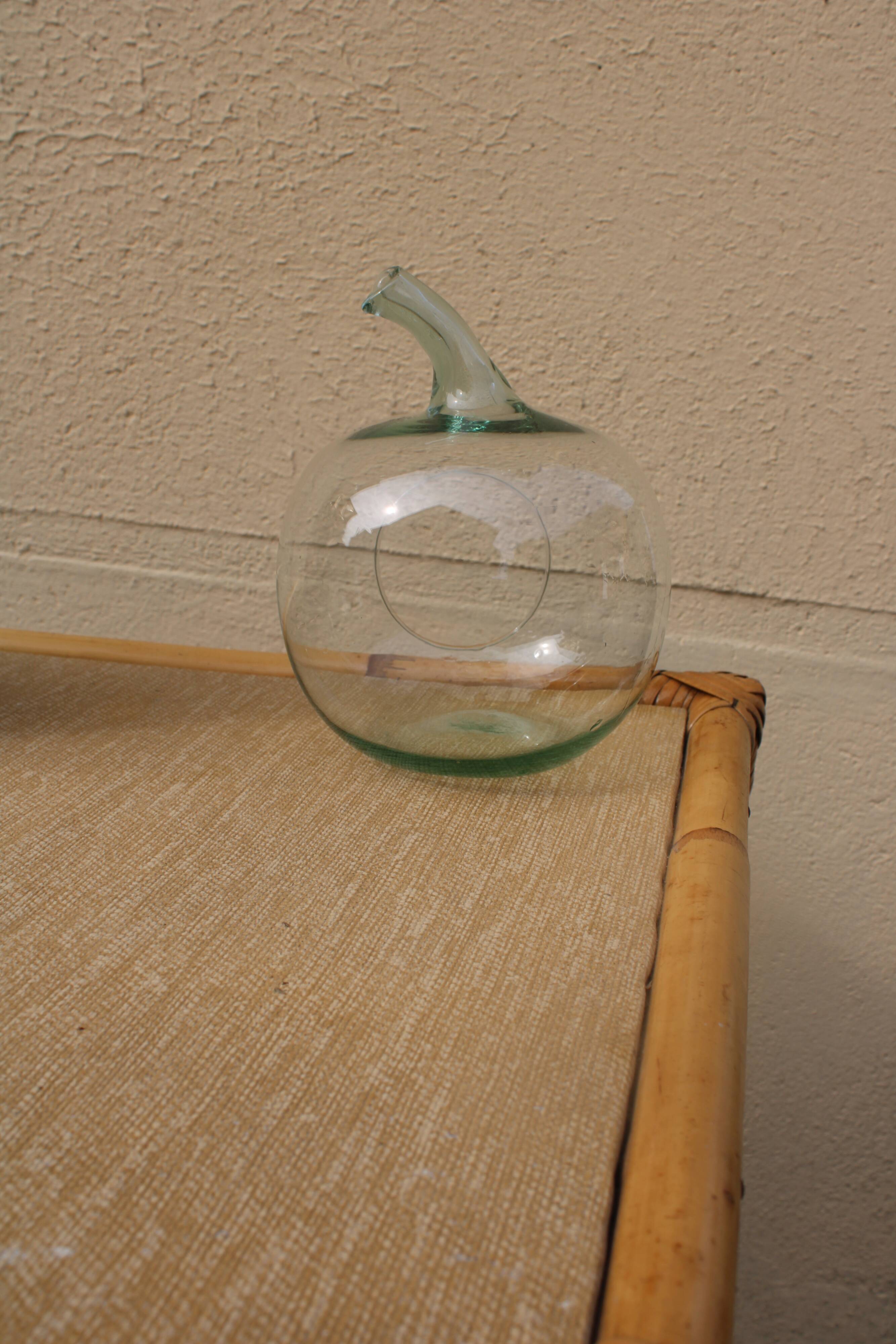 Apple-shaped terrarium vase