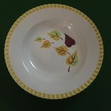 Set of 5 hollow plates sarreguemines /digoin