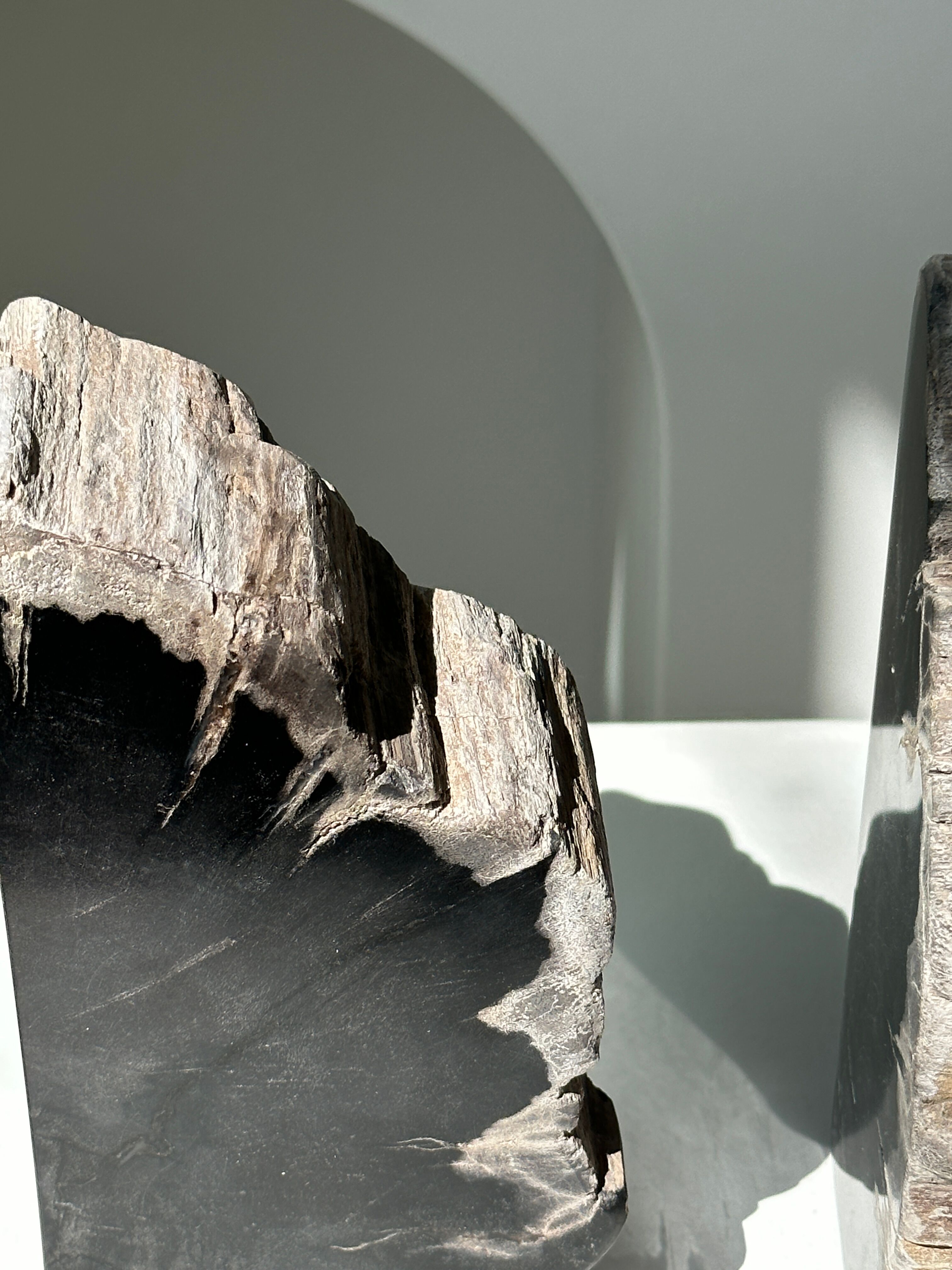 Black petrified wood bookend H17 L17 P6