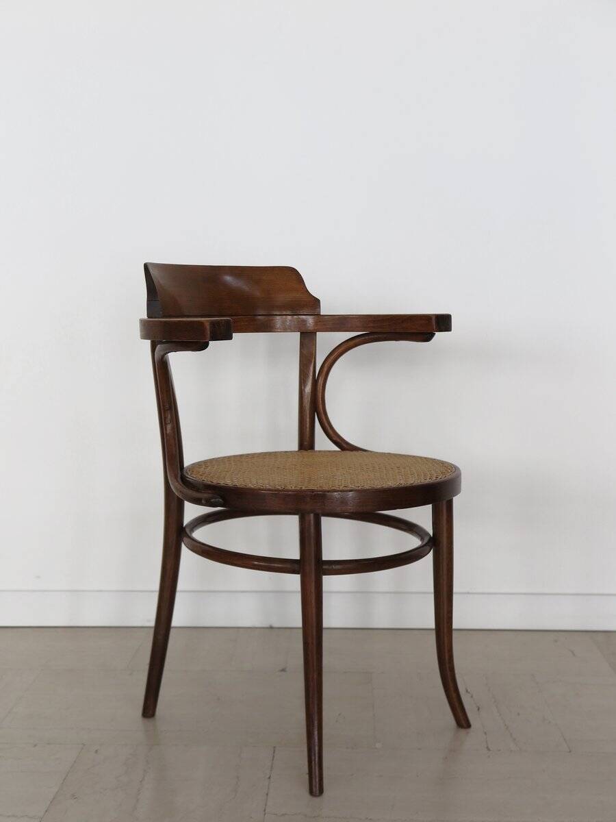Vintage Chairs by Michael Thonet for Thonet, 1930s, Set of 6