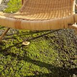 Chaise longue transat en osier rotin annèes 70/80