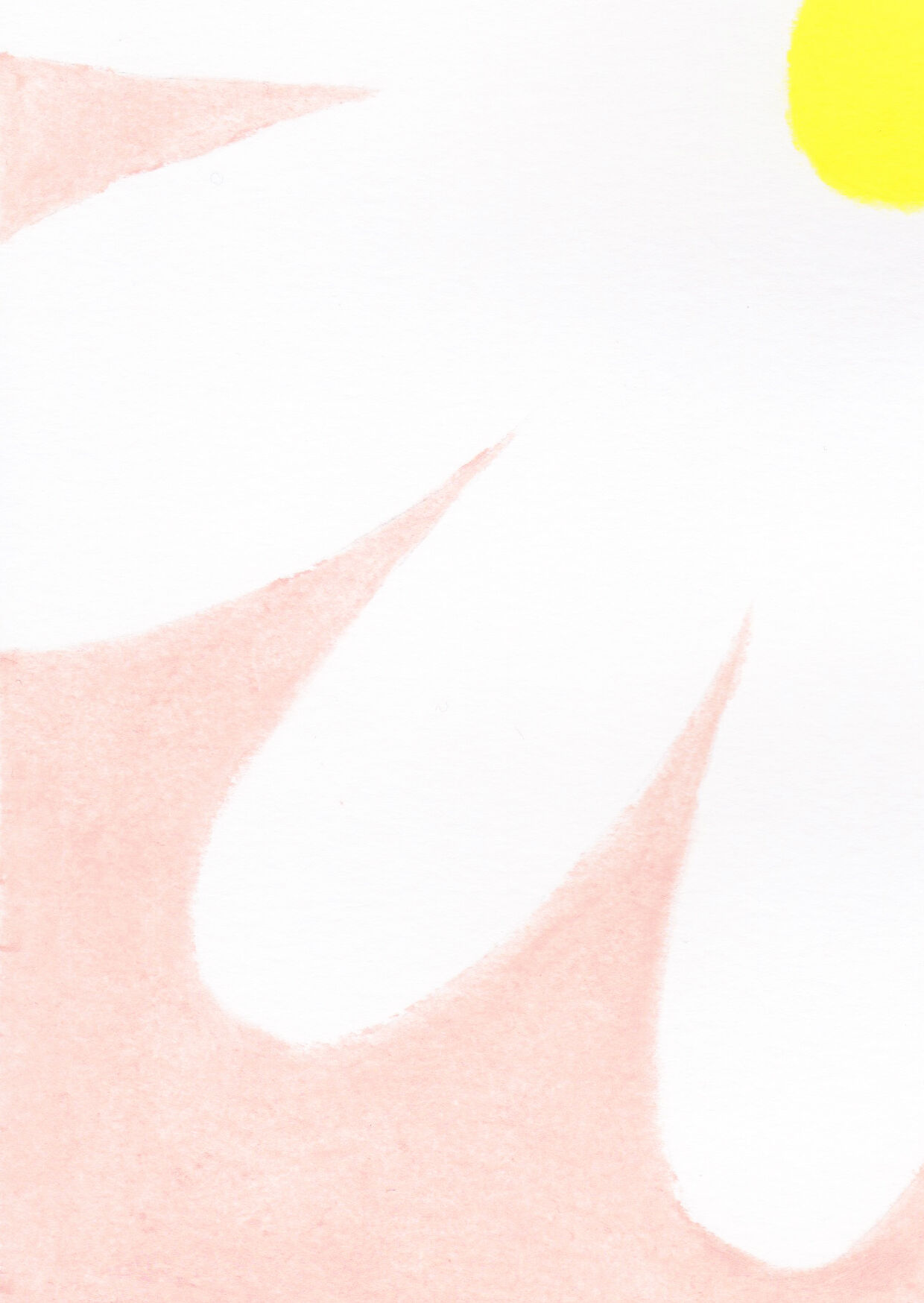 Flower 8 - Original Drawing