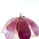 Large double corolla lotus hanging lamp