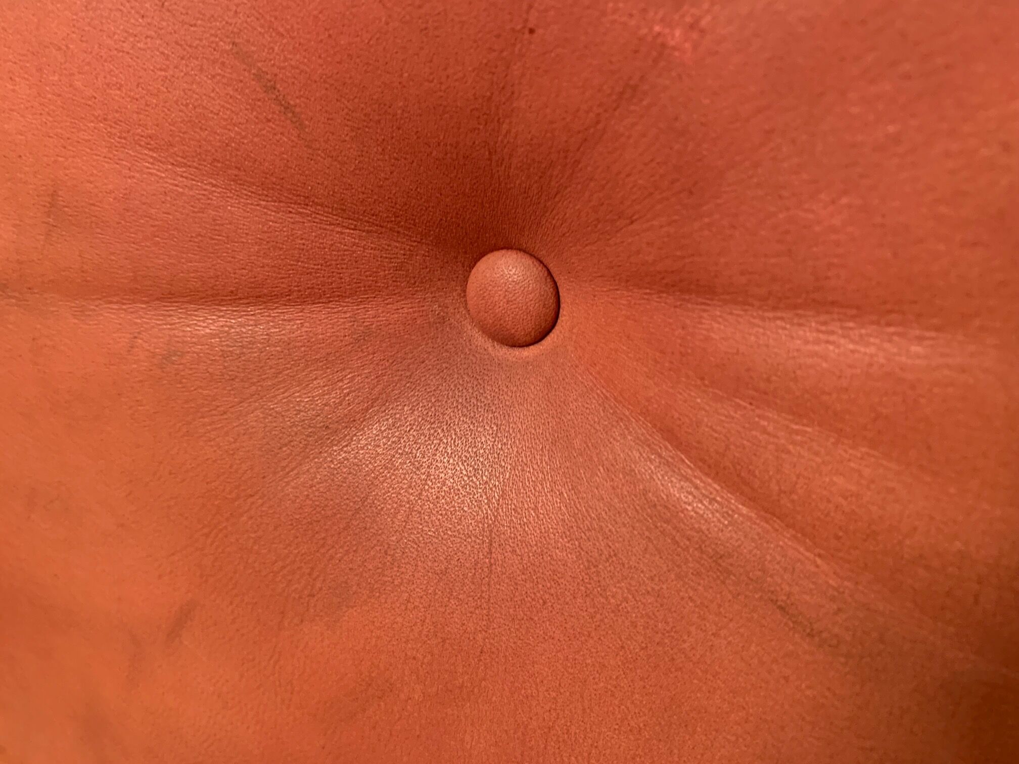 Armchair by Geoffrey Harcourt, Artifort, The Netherlands, 1960s