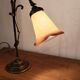 Hot water bottle lamp