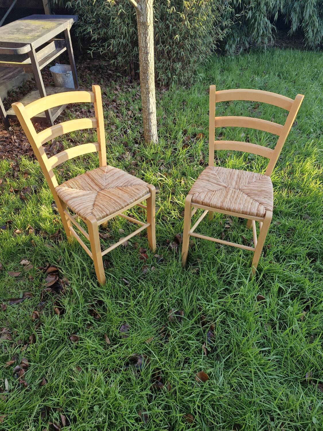 Pair of wooden and straw chairs
