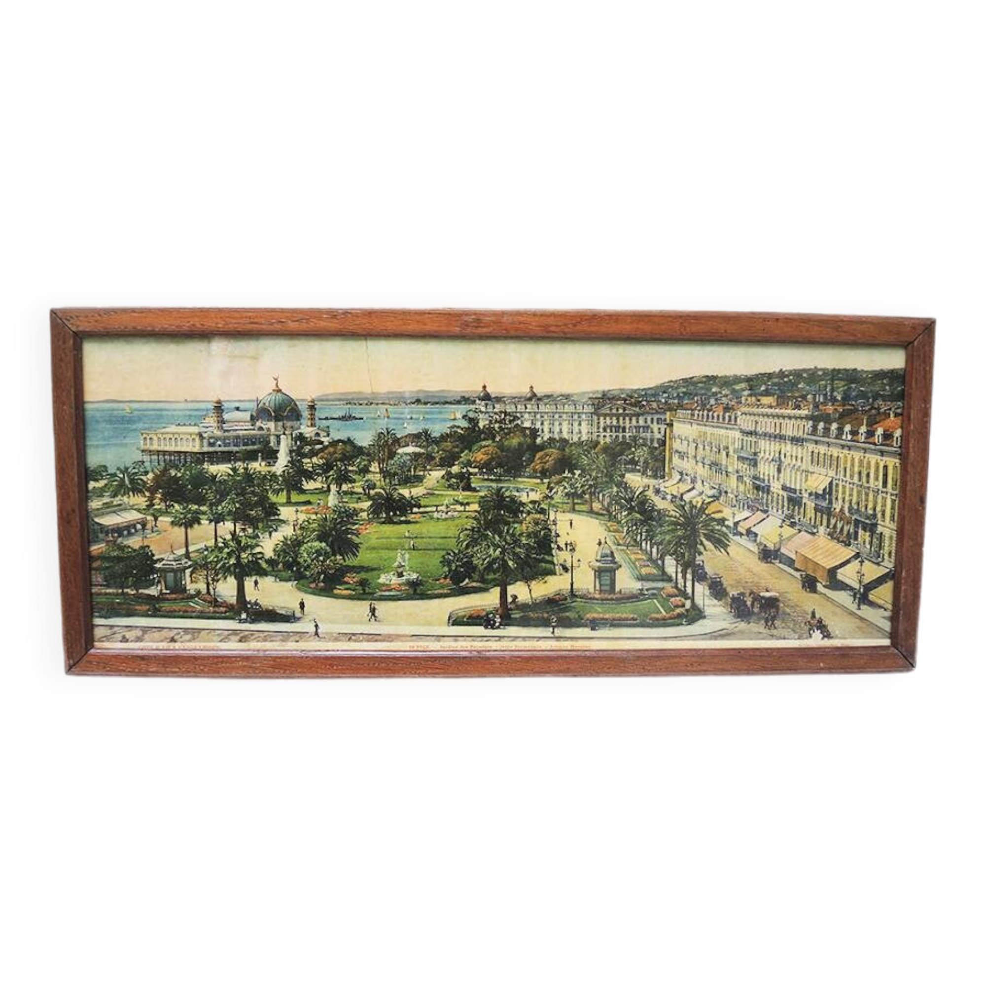 Old Colorized Panoramic Photo: Palm Gardens – Nice