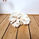 White coral branch 13x12cm