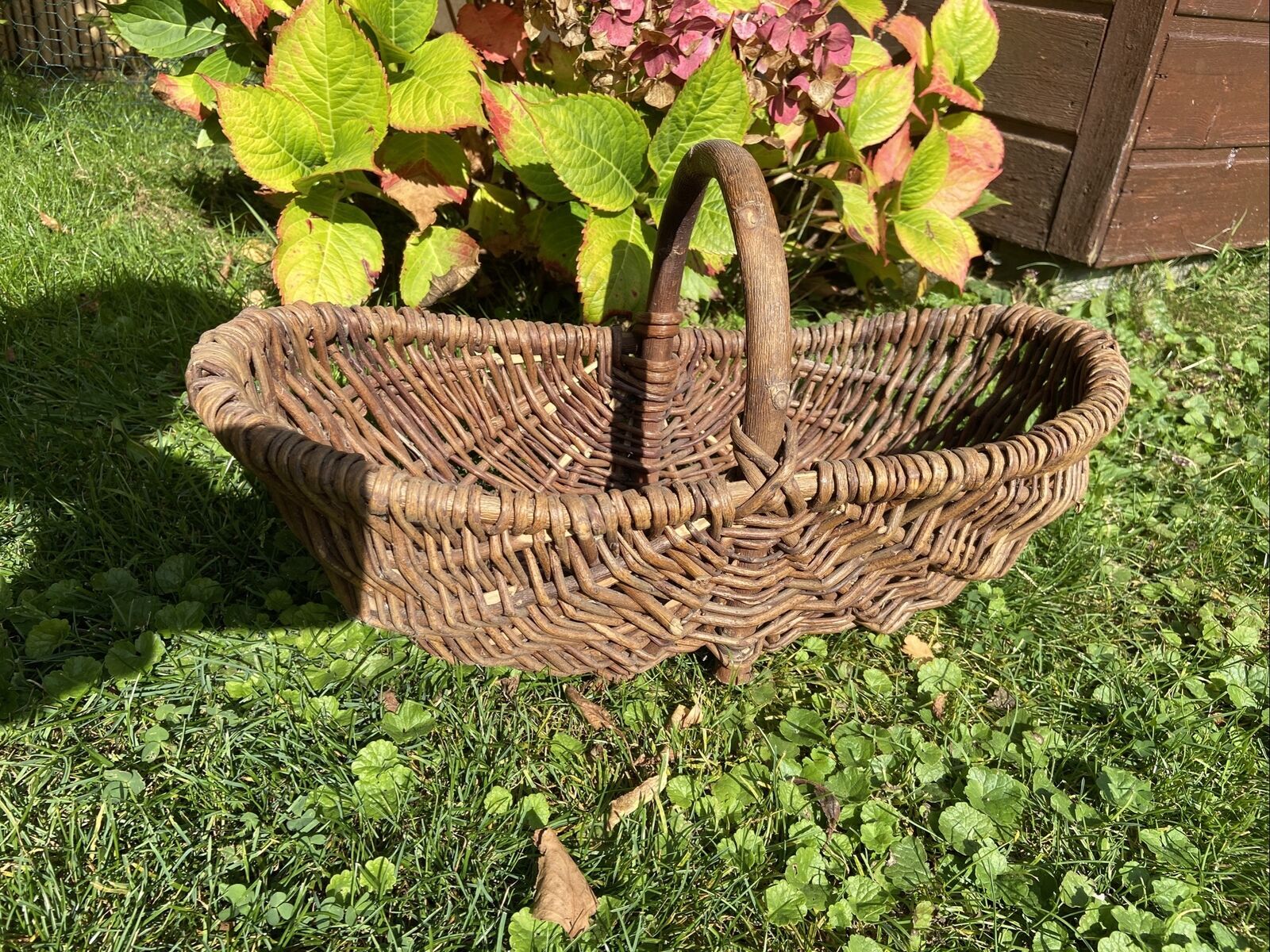 Basket with wicker handle picking vegetable garden mushrooms