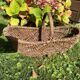 Basket with wicker handle picking vegetable garden mushrooms