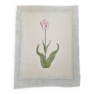 La Roche Laffitte (Born in 1943) - Watercolour drawing on silk - Tulip