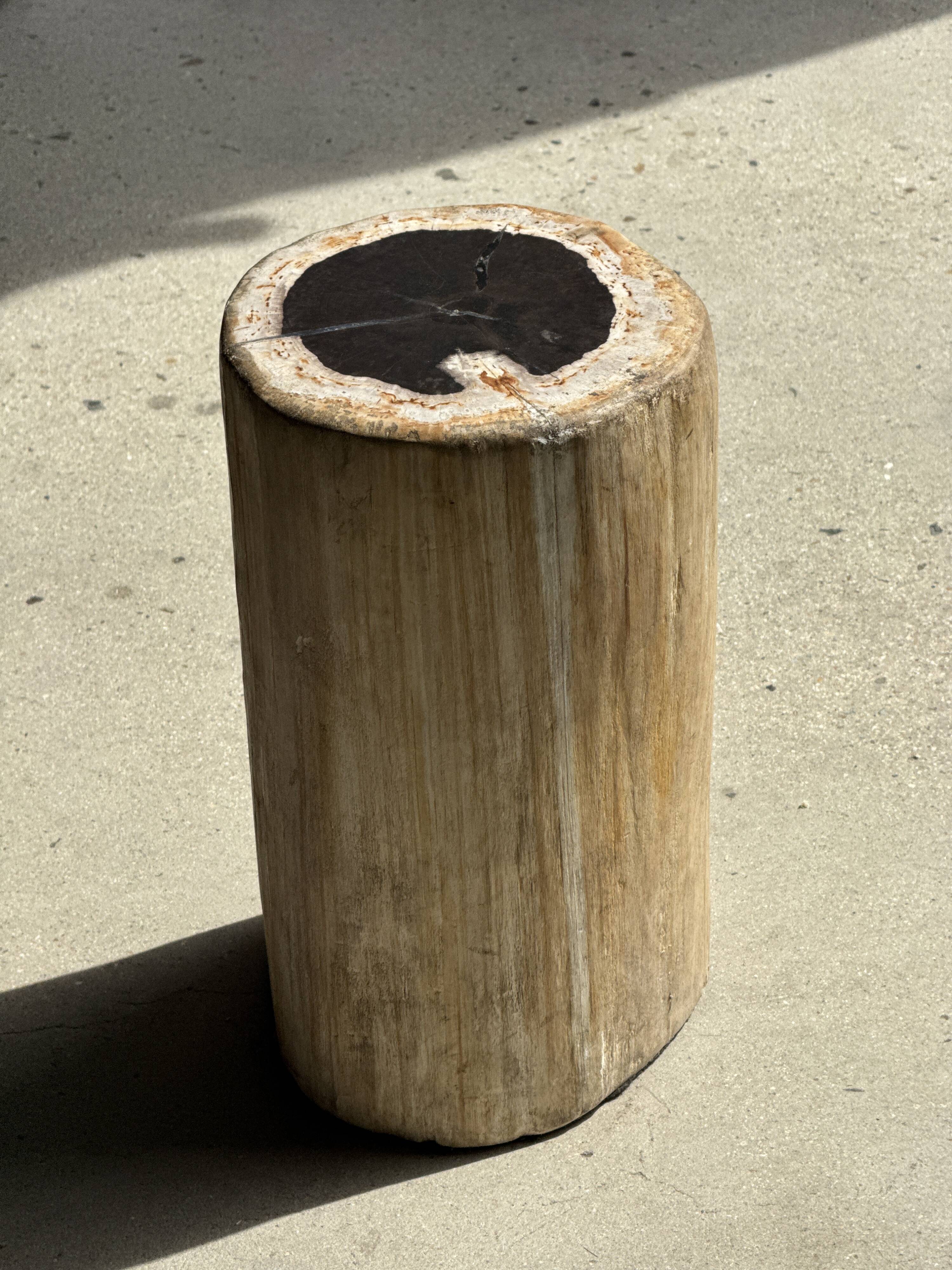 Table d'appoint en bois pétrifié, écorce blanche