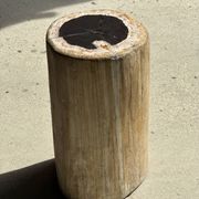 Petrified wood side table, white bark
