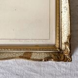 Framed fleur-de-lis botanical plate