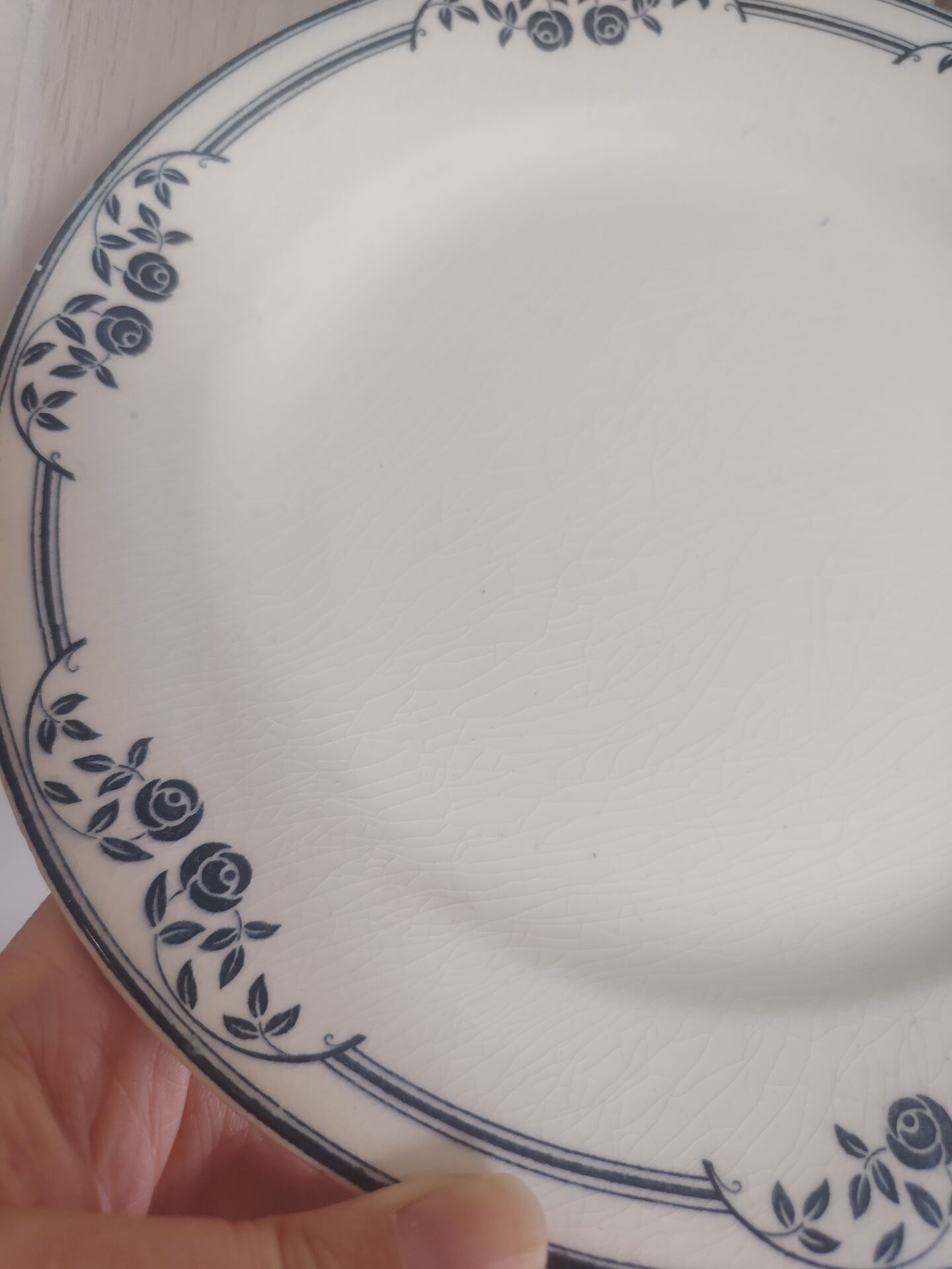 Flat plates ironstone Saussure